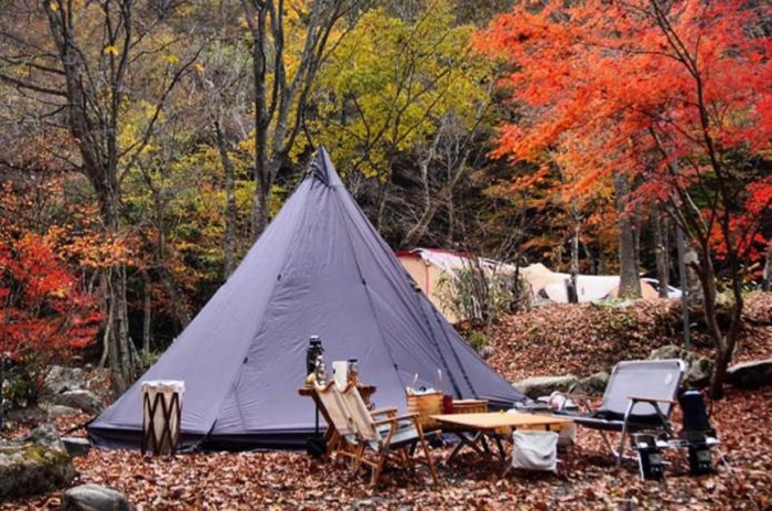 秋　紅葉　キャンプ